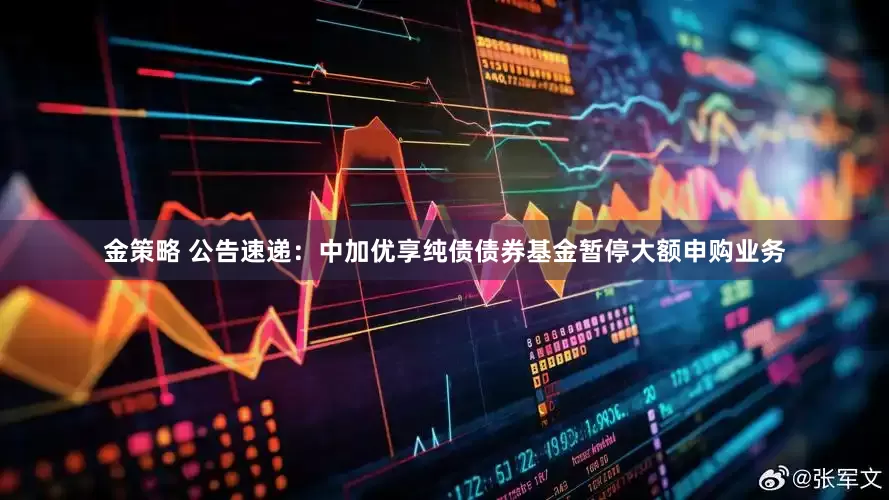 金策略 公告速递：中加优享纯债债券基金暂停大额申购业务